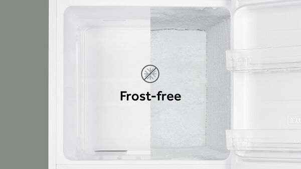 Frost-Free Freezer